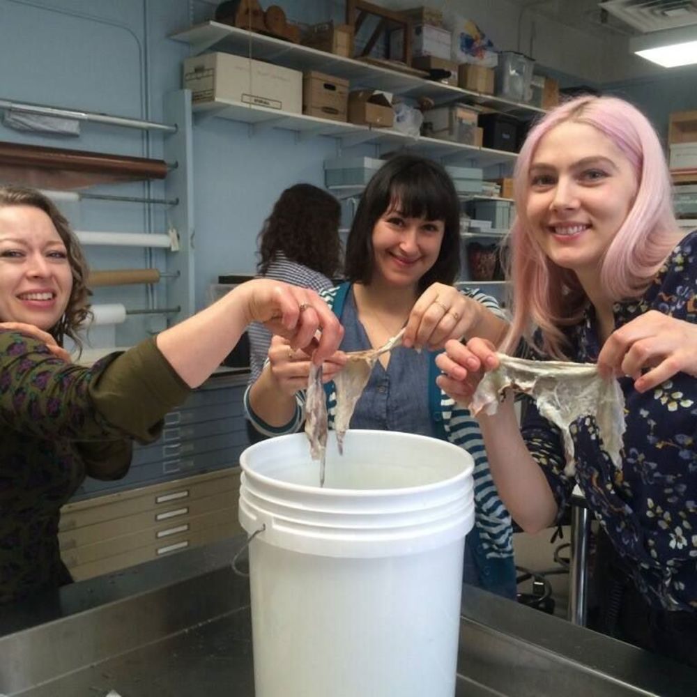 Meet your Posher, Mary